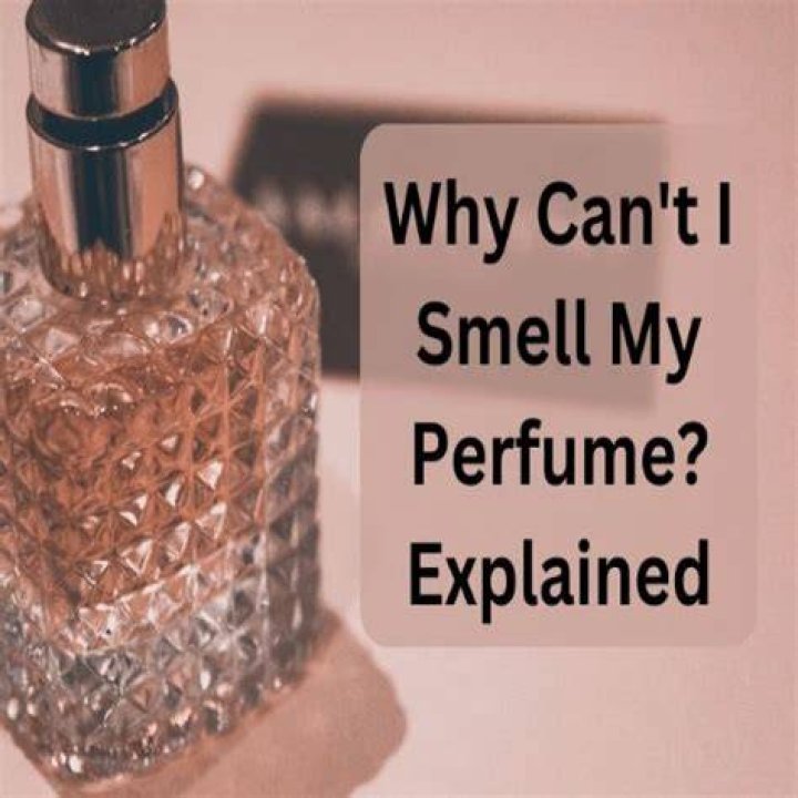 Can I smell my own scent?