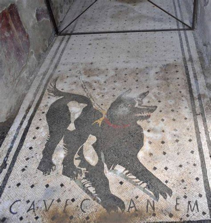 Can I take a dog to Pompeii?
