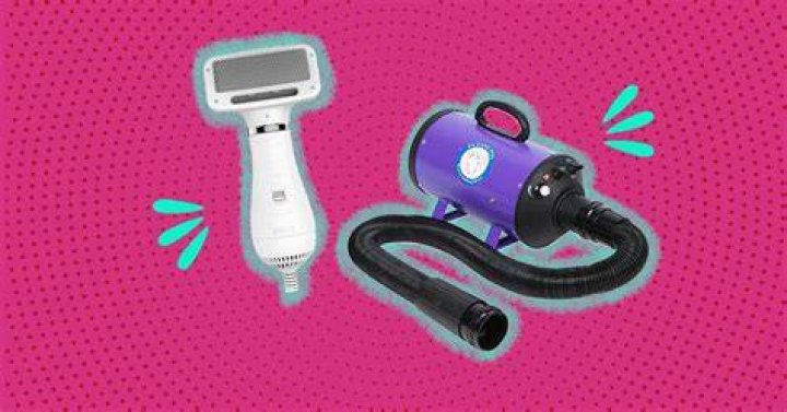 Can I use a hair dryer to dry my dog?