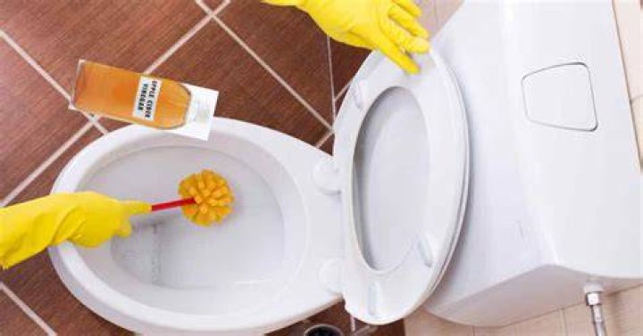 Can I use apple cider vinegar to clean my toilet?