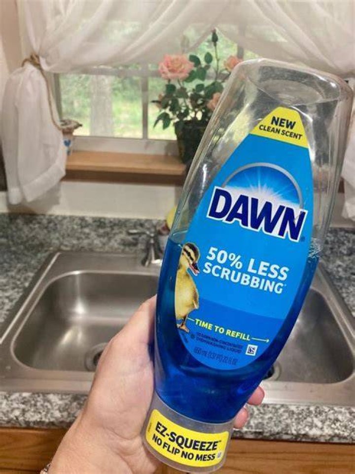 Can I use Dawn dish soap to wash my horse?