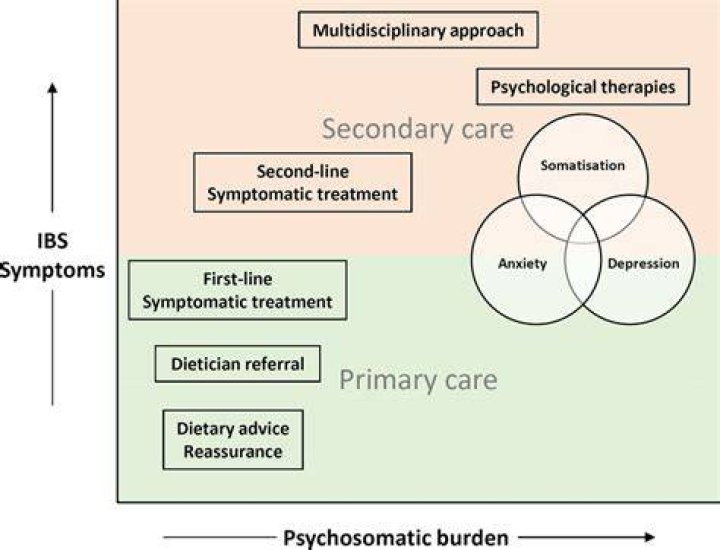 Can IBS be psychosomatic?