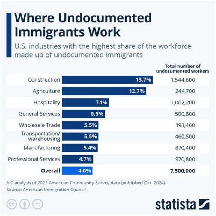 Can immigrants do business in USA?