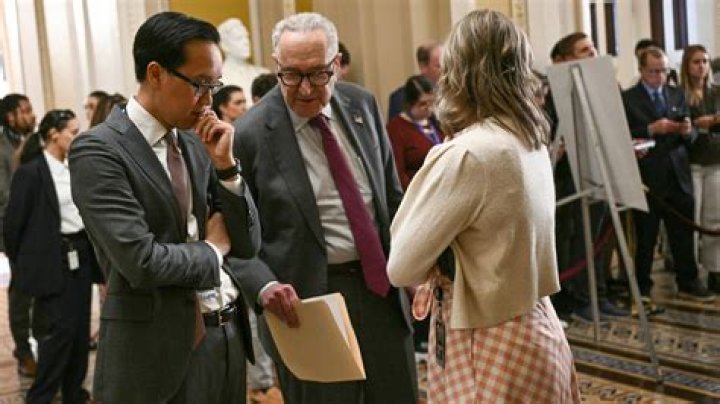 Can immigrants go to college in the US?