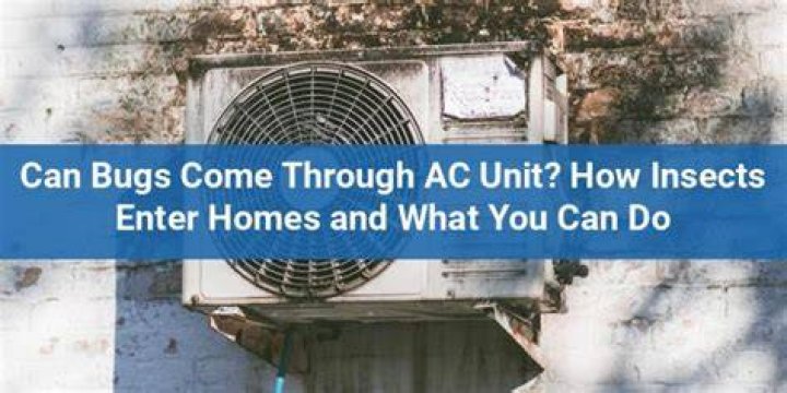 Can insects come through AC?
