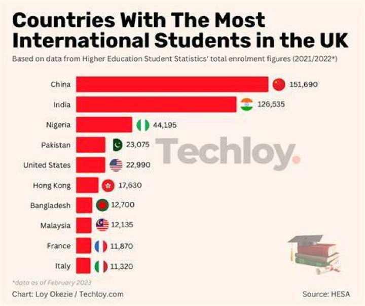 Can international students go to public school?