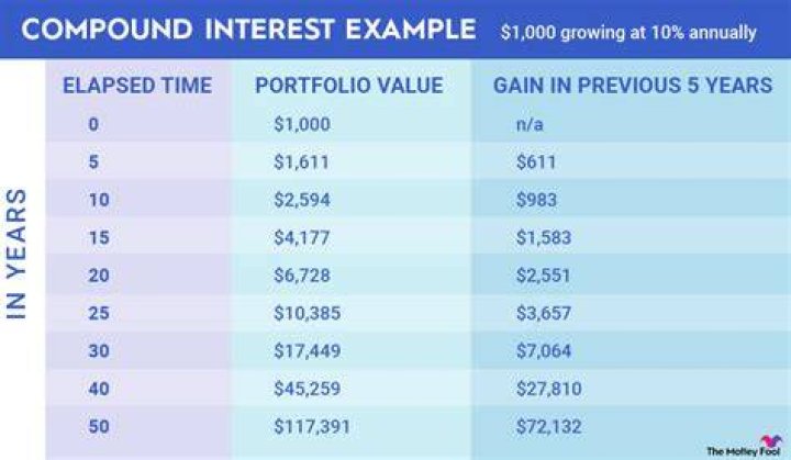 Can investors earn interest?