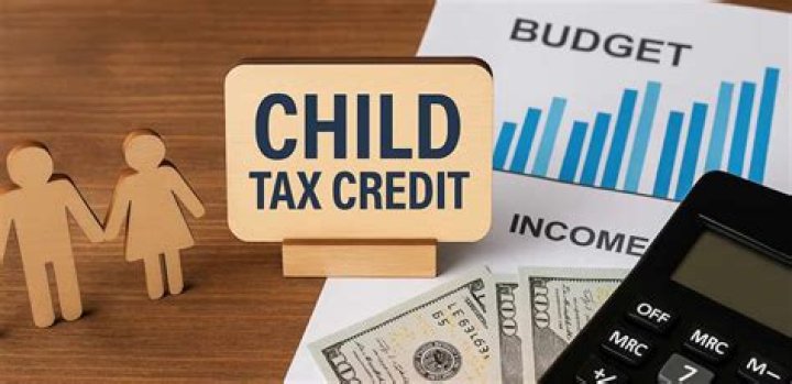 Can IRS take Child Tax Credit for back taxes?