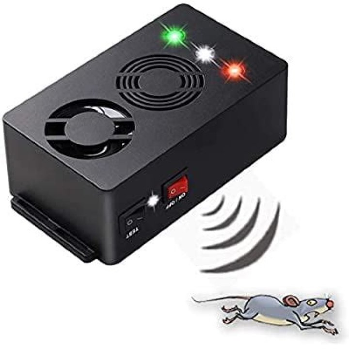 Can keeping lights on will repel rats?