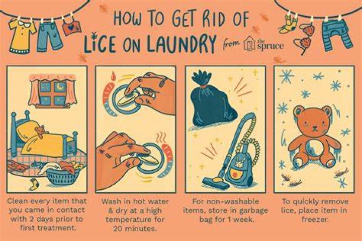 Can lice survive the dryer?