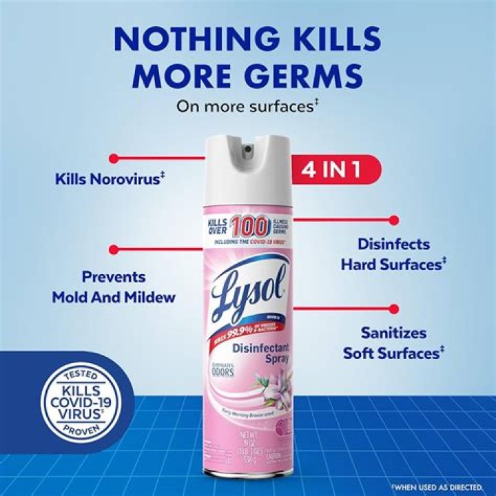 Can Lysol spray be used on walls?