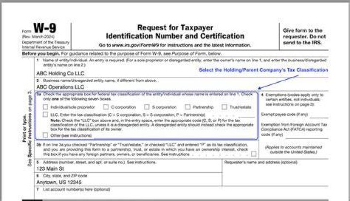 Can my LLC issue me a W-2?