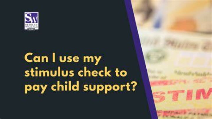 Can my whole stimulus check go to child support?