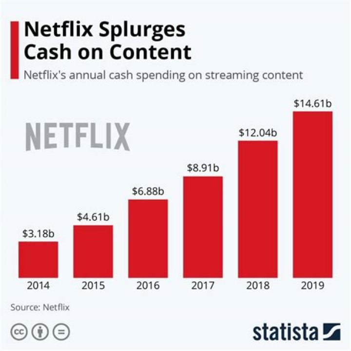 Can Netflix be a business expense?