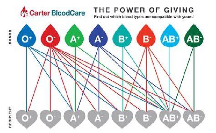 Can O Negative donate to anyone?