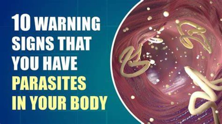 Can parasites live in your sinuses?