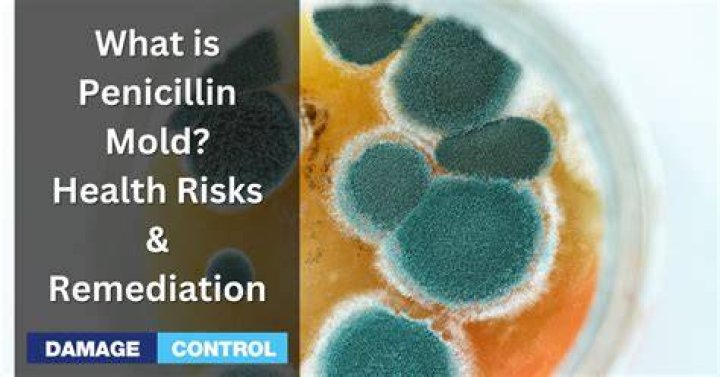 Can penicillin make you sick?