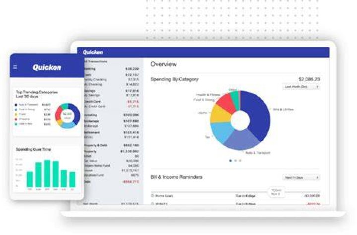 Can Quicken help with taxes?