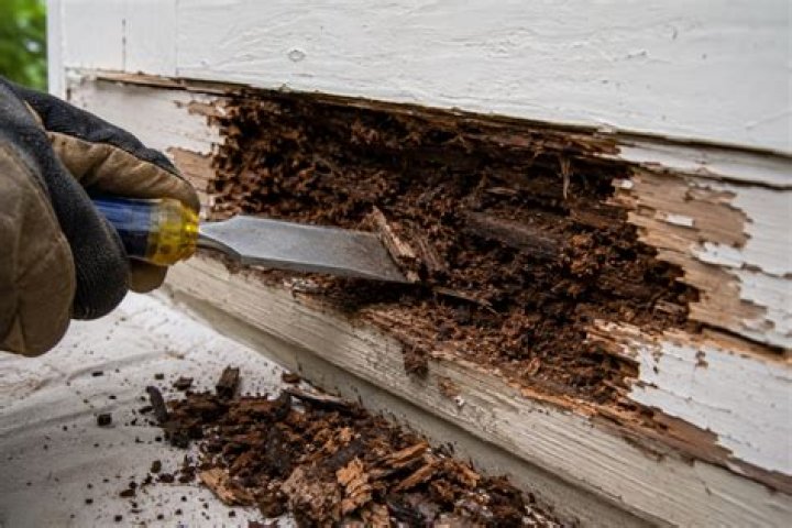 Can rotting wood be saved?