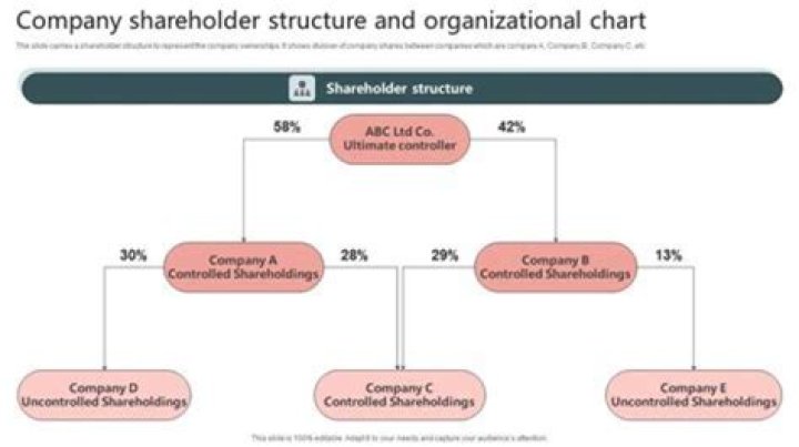 Can S Corp shareholders have different basis?