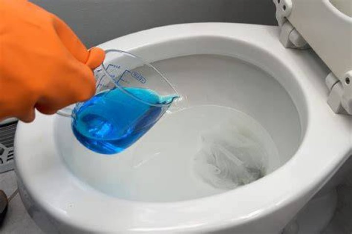 Can shampoo unclog a toilet?