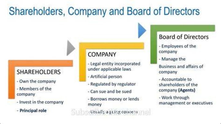 Can shareholders be paid a salary?