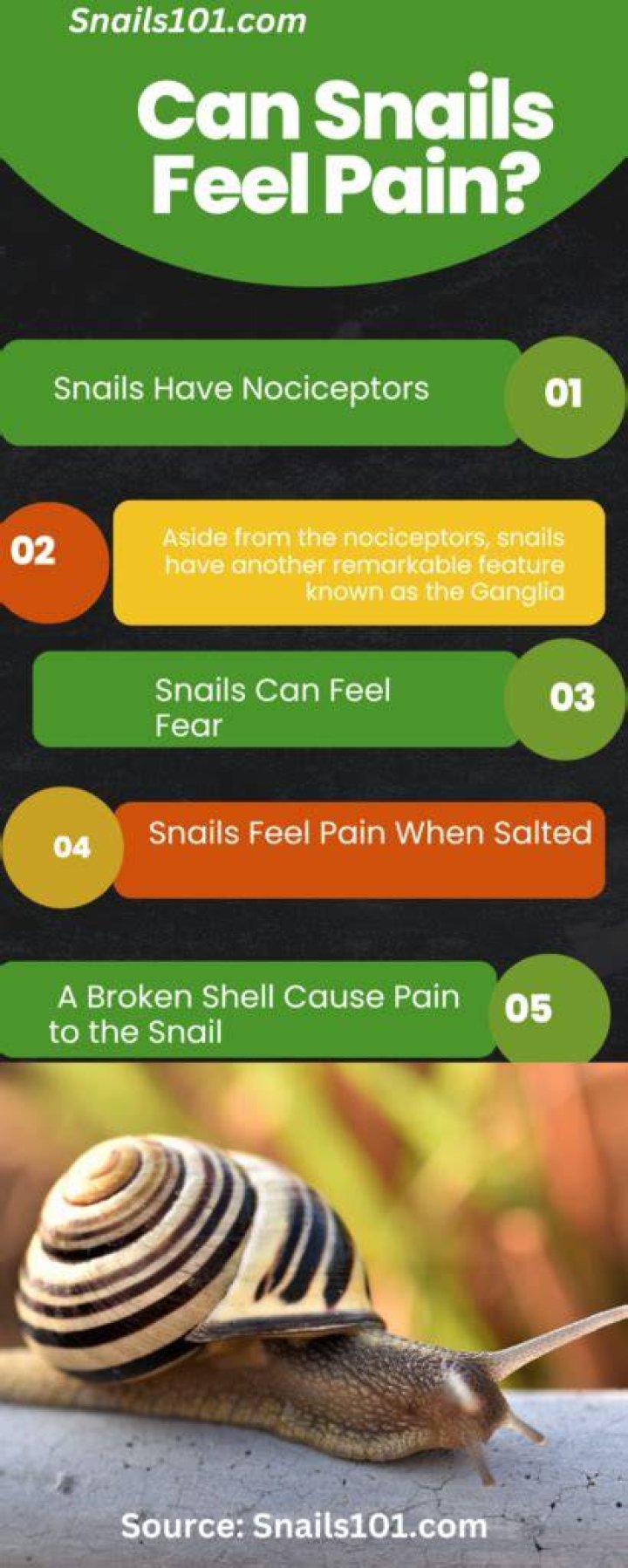 Can snails feel fear?