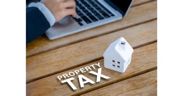 Can someone take your property by paying the taxes in Illinois?