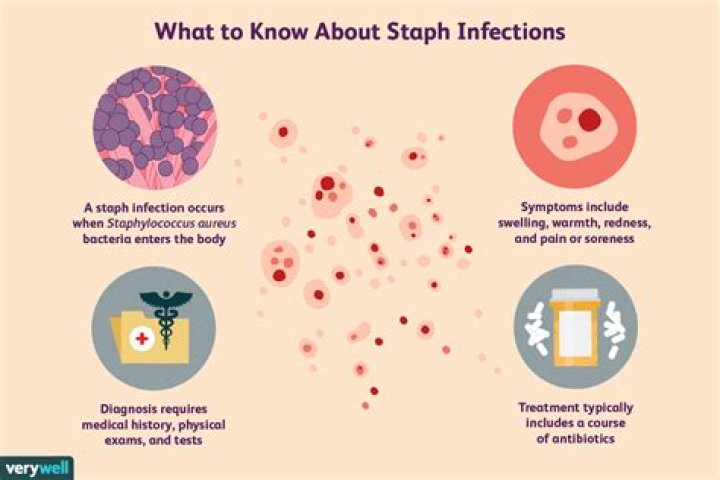 Can staph cause UTI symptoms?