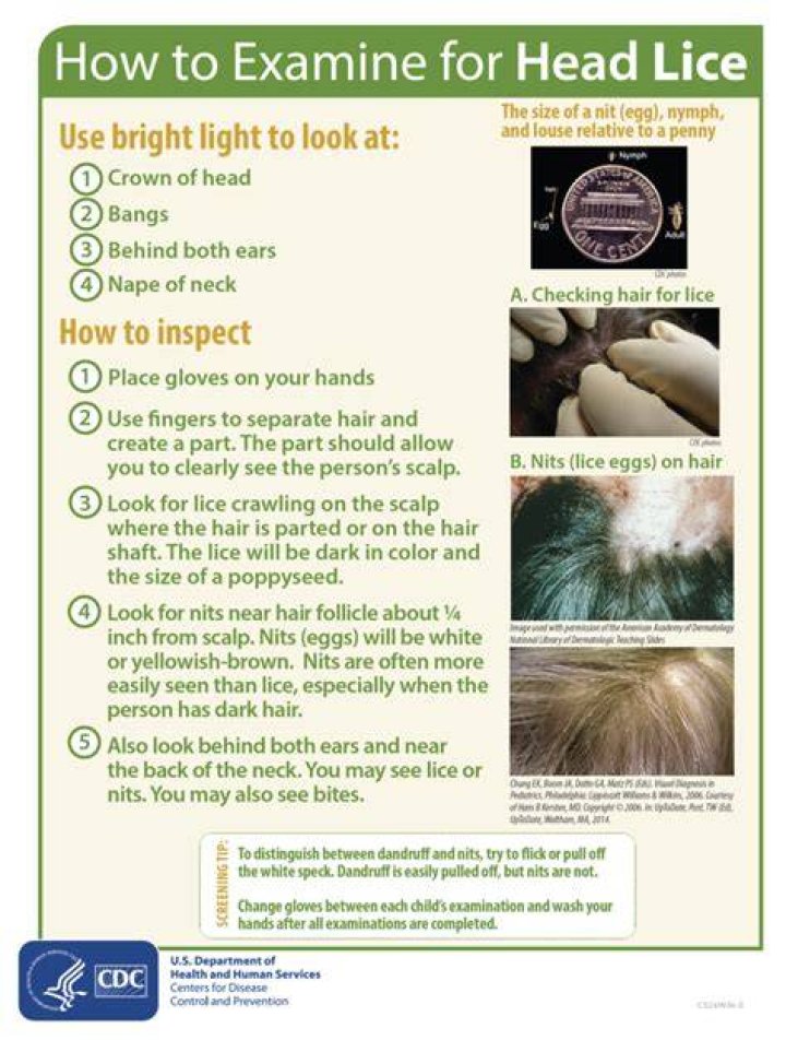 Can thinking about lice make you itchy?