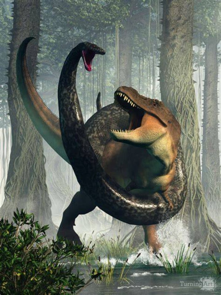 Can Titanoboa eat T Rex?