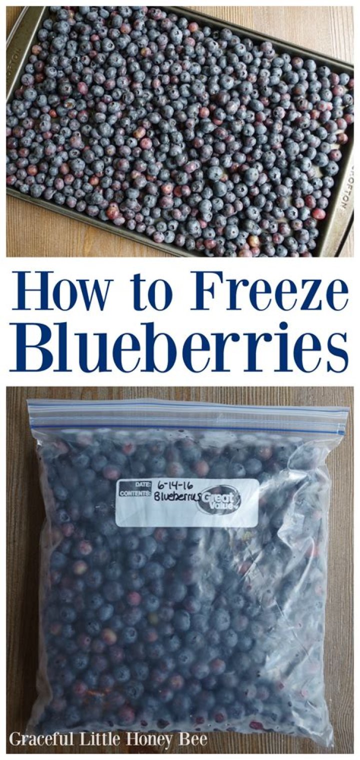 Can u freeze blueberries?