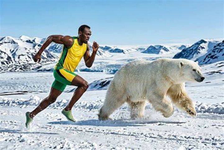 Can Usain Bolt outrun a bear?