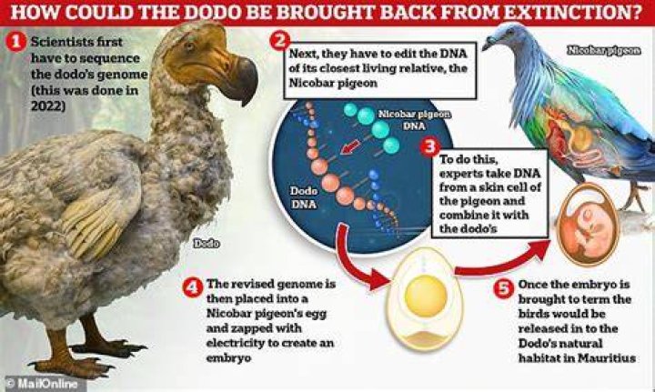 Can we clone the dodo?