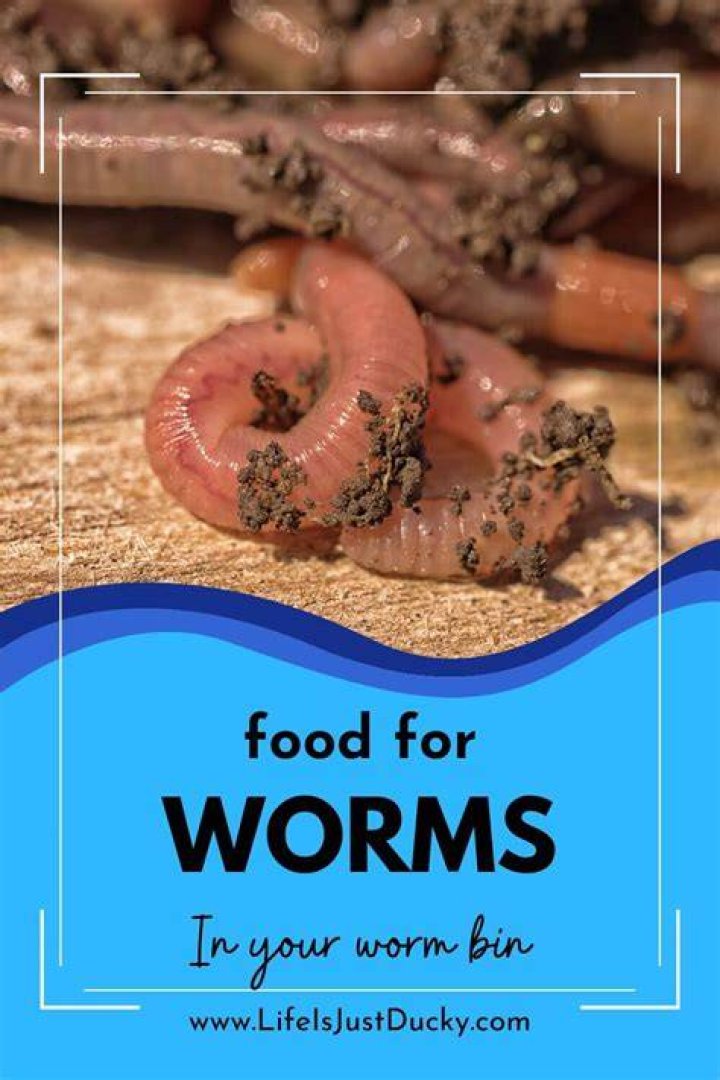 Can worms eat sweet potatoes?