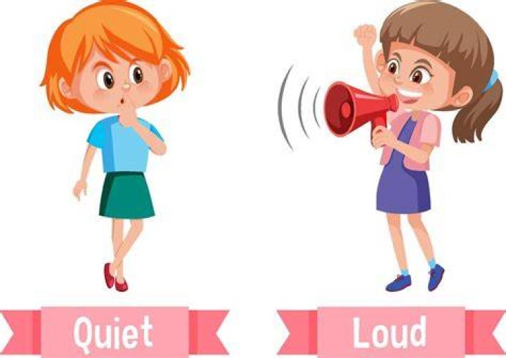 Can you be quiet Outgoing?