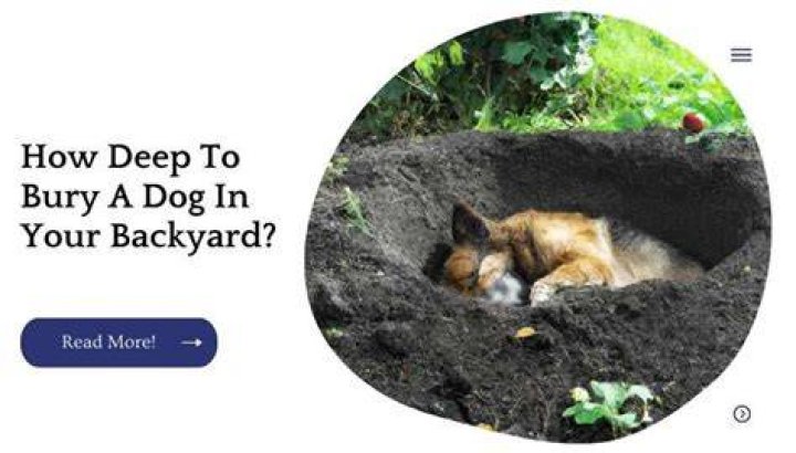 Can you bury your dog in your backyard?