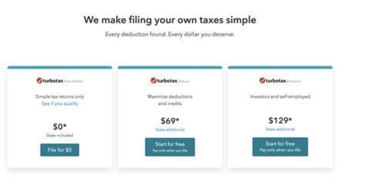 Can you do TurboTax by yourself?
