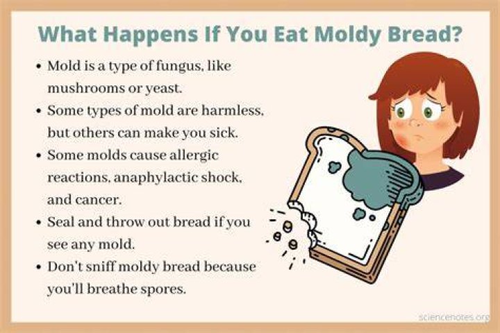 Can you eat bread if one piece is moldy?