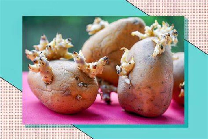 Can you eat potatoes with eyes?