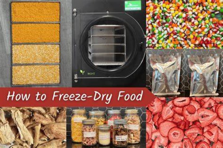 Can you freeze dry cereal?