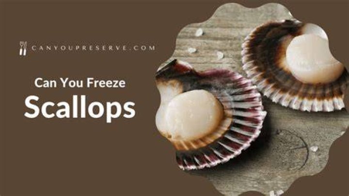 Can you freeze scallops?