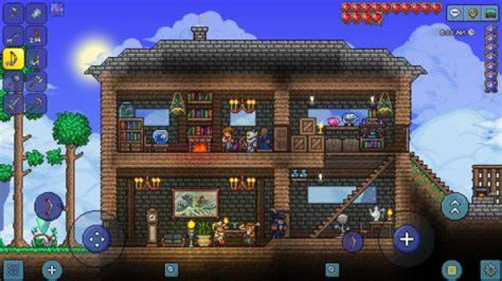 Can you get a girlfriend in Terraria?
