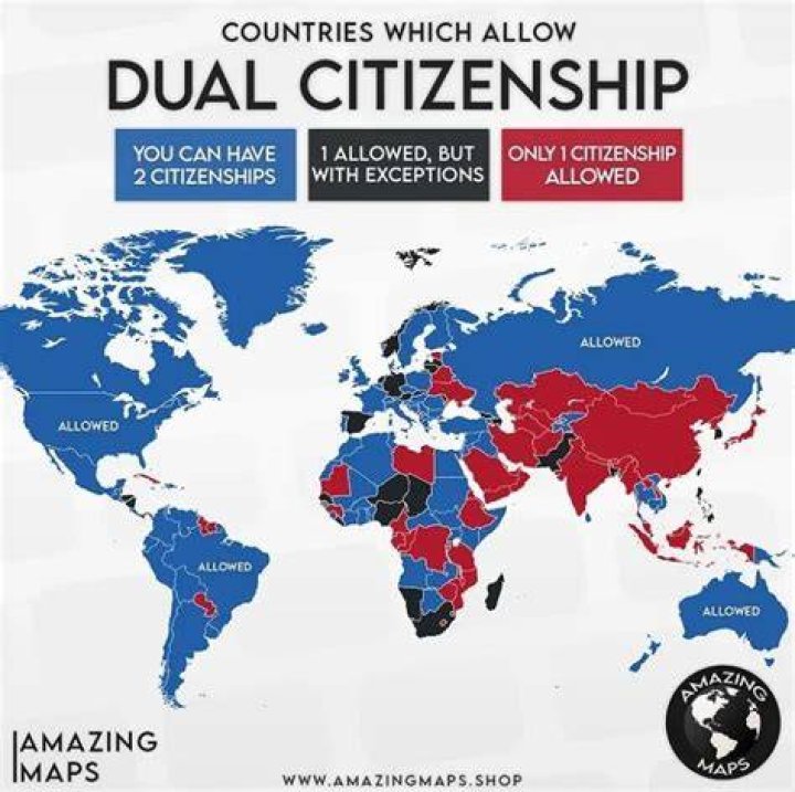 Can you get a government job if you have dual citizenship?
