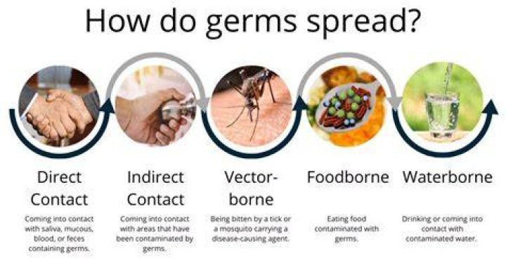 Can you get a virus from seafood?