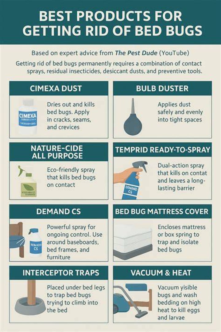Can you get rid of bed bugs yourself?