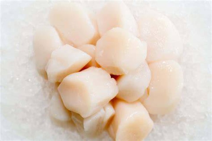 Can you get sick from eating undercooked scallops?