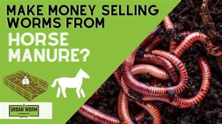 Can you get worms from cow manure?