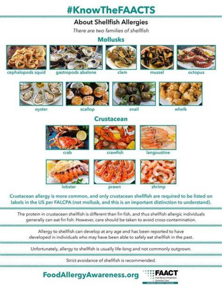 Can you have a mild allergy to shellfish?