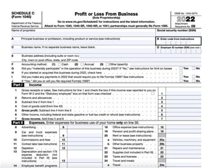 Can you have a Schedule C with no income?